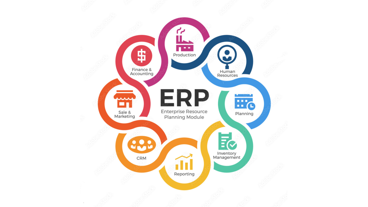 Enterprise Resource Planning